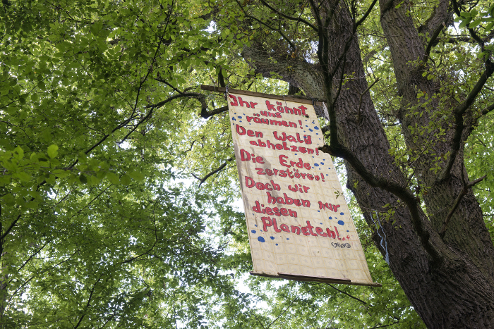Banner im Hambacher Forst